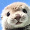 一生回味一面