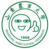 g9花炫9富