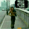 甘肃网友31466