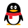 QQ Email Avatar