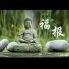 上海网友14710