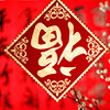 广东网友11806