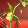 福建网友58440