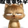 贵州网友95870