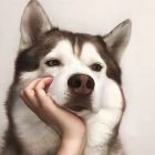 QQ头像