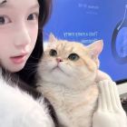 QQ头像