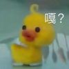 浙江网友28552