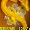 重庆网友38824