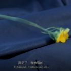 QQ头像