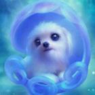QQ头像