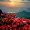 贵州网友32960