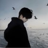 青海网友83639