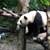 天津网友23092