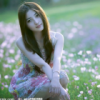 澳门网友47175
