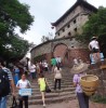 江苏网友13926