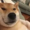 评论头像