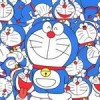 广西网友99848