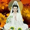 广东网友75577