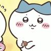 AmoMSakura的头像-Xyner