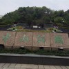 江苏网友60064