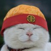trx能量机器人