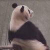 黑龙江网友62899