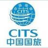 广东网友56448