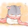 朵拉、