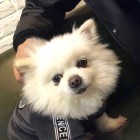 QQ头像