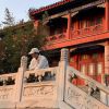 青海网友18908