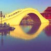 宁夏网友16771