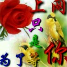 QQ头像
