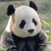 草幸水好树0