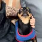 QQ头像