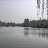 上海网友77398