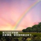 QQ头像