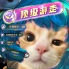 台湾网友36135