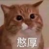 澳门网友53726