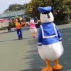 海南网友64672