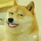 QQ头像
