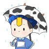 江西网友85880