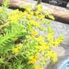 云南网友34759