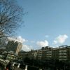 山东网友44365