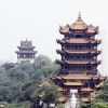 山西网友46080
