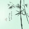 宁夏网友54492