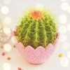 江苏网友19305