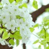 新疆网友69541