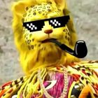 QQ头像
