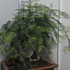 江西网友15402