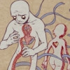 西藏网友50430